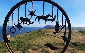 Mad Alice'S Cottage, Saltburn